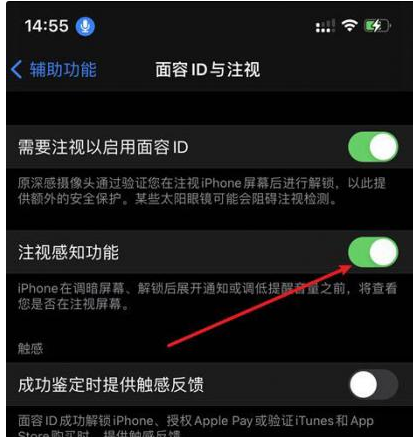 七台河苹果14维修网点分享iPhone14注视感知功能有什么用 