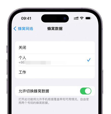 七台河苹果维修服务分享如何在iPhone上使用双卡 