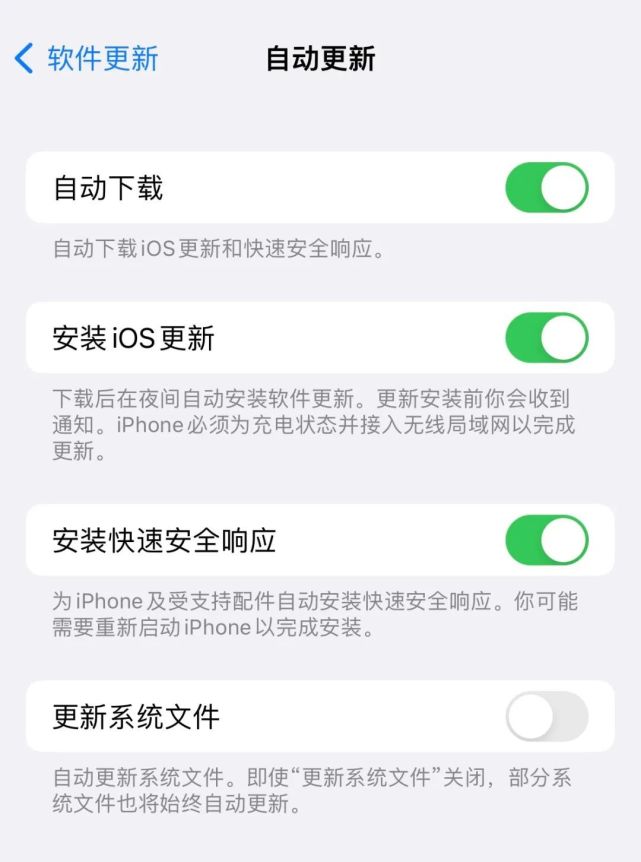 七台河苹果手机维修分享苹果快速安全响应更新有必要安装吗 