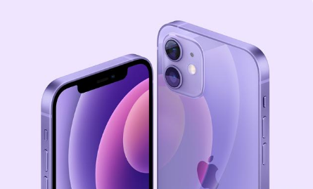 七台河苹果手机维修分享紫色版iPhone 12有什么技术亮点 