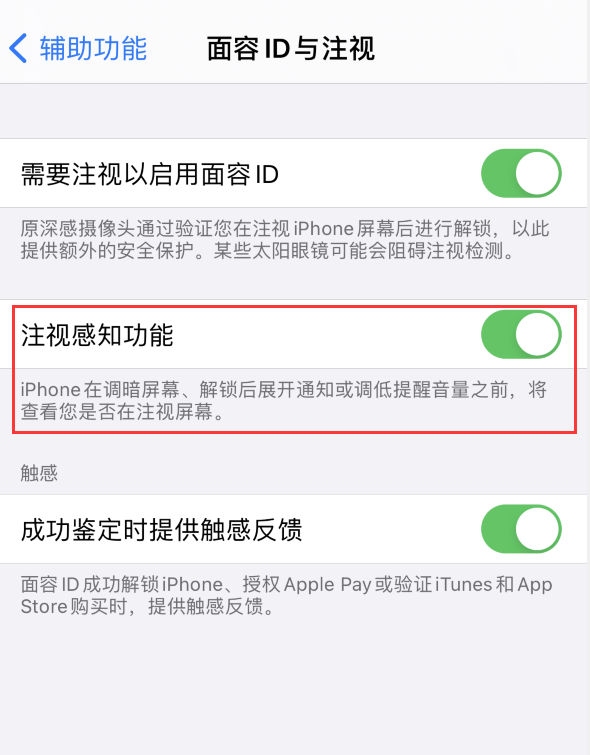 七台河苹果手机维修分享iPhone 12 不会自动锁屏怎么办 